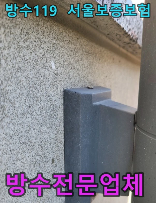20260909175817_5da4f111.webp
