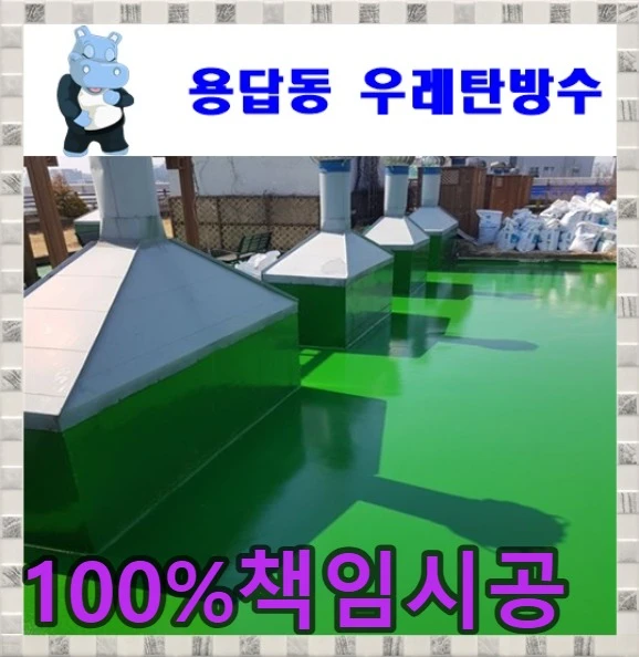 20260912195543_705cd7aa.webp
