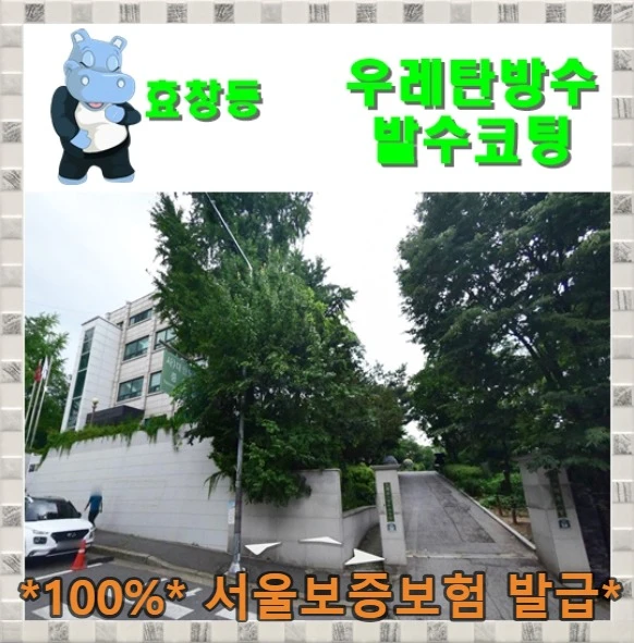 20260913180606_554cb007.webp