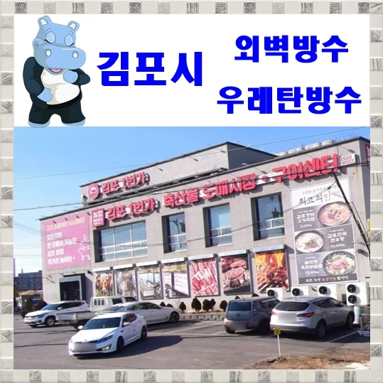 20260916213048_957fd0bb.webp