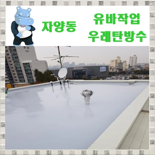 20260916213144_e68c4aa4.webp