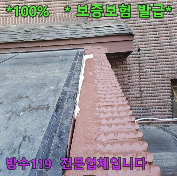 20260919210436_67620764.webp