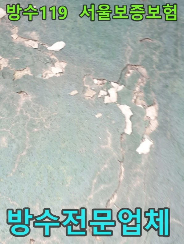20260919210437_e9f67f08.webp