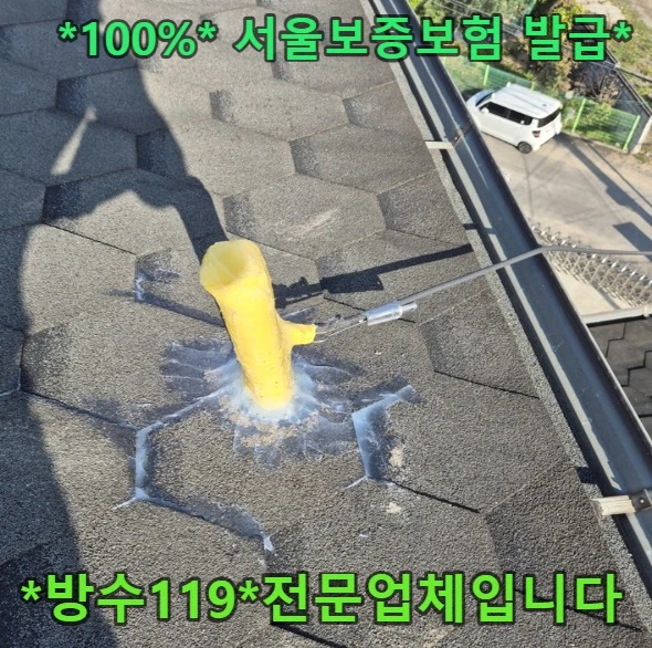20260919212431_61d625cb.webp