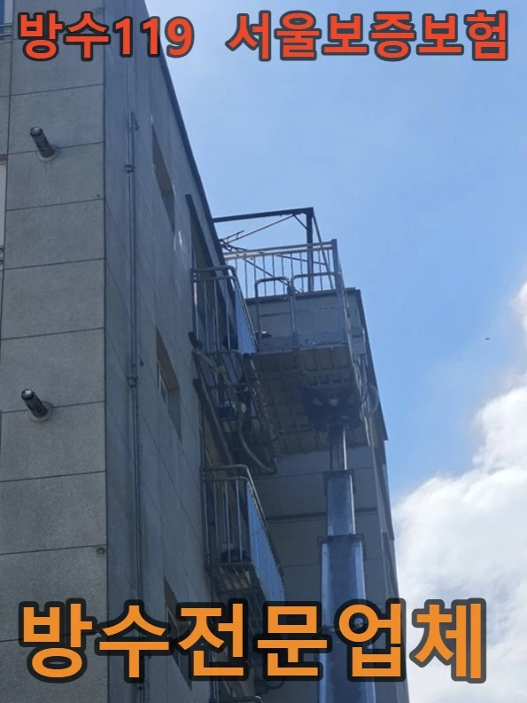 20260919214033_745fd3e6.webp