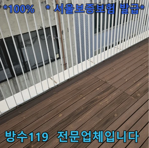 20260919214325_1d5310d0.webp