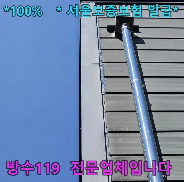 20260919214325_82210b9b.webp