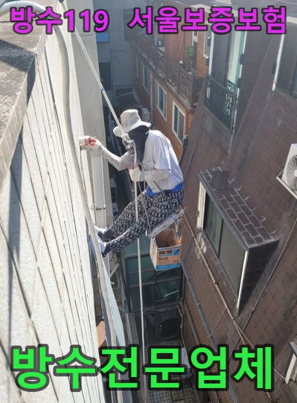 20260919214325_cd7c3115.webp