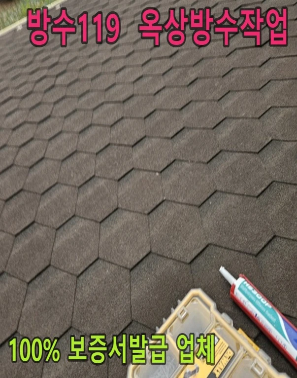 20260919215639_044b8ed7.webp