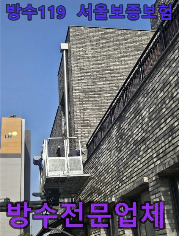 20260919220121_386a99ae.webp
