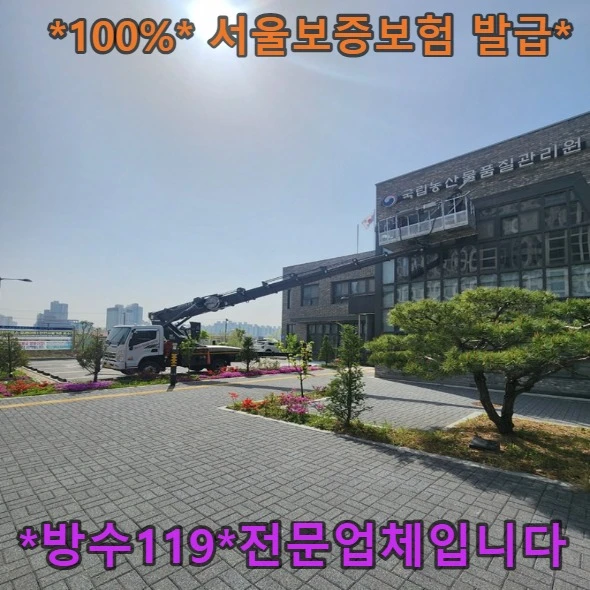 20260919220934_c33dd025.webp