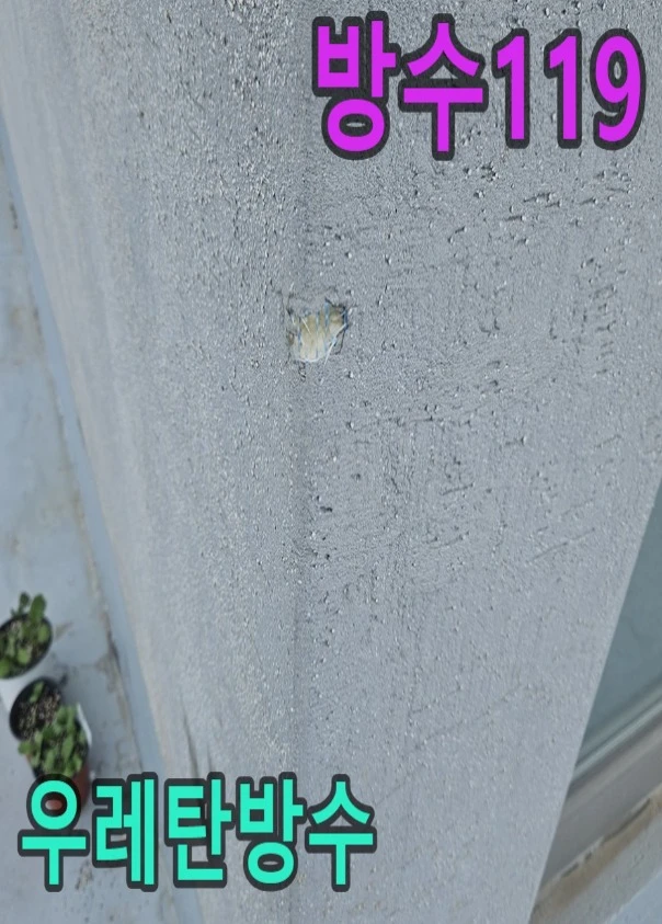 20260919221257_0267a847.webp