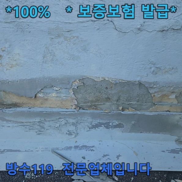 20260919221258_2f408a59.webp