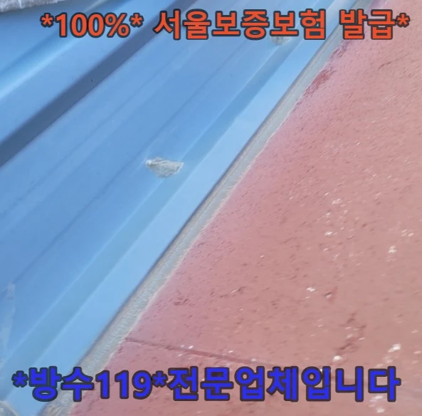 20260919221717_5044a462.webp