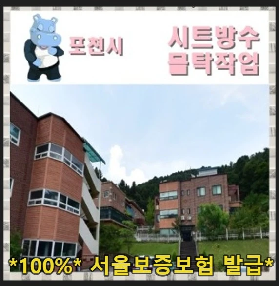 20260923190653_6bedcafa.webp
