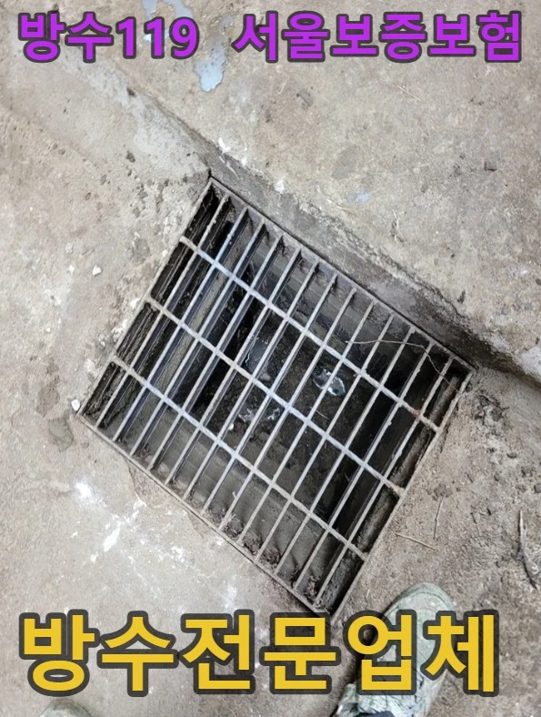 20260924161418_26c6f866.webp