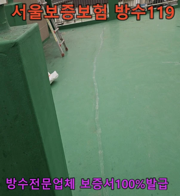 20260924165042_cf9b6689.webp
