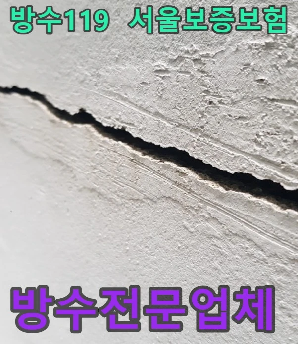20261004194126_1bebe4c3.webp