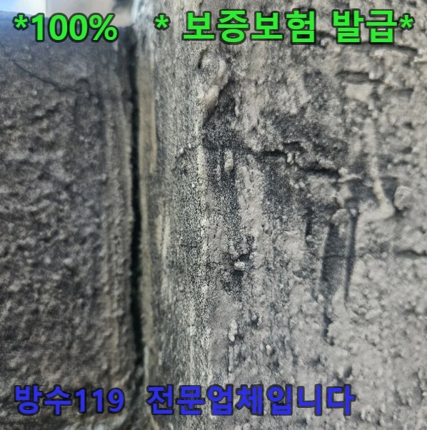 20261007201337_3b29586c.webp
