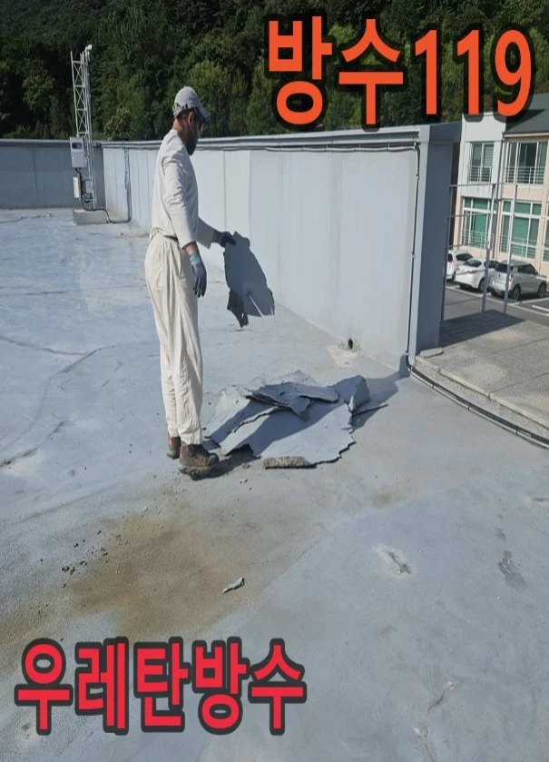 20261026214510_d7b21287.webp